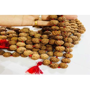 Ganesh Rudraskha 108 Beads Mala Indonesia