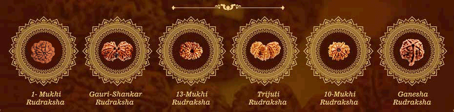 Rudraksha 